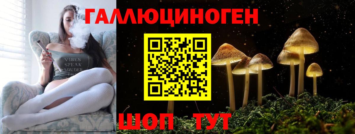 купить закладку  Вход с VPN  Псилоцибиновые грибы MAGIC MUSHROOMS  Чехов  Псилоцибиновые грибы Cubensis 